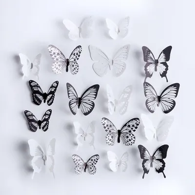 Бабочка рисунок черно белый - 79 фото