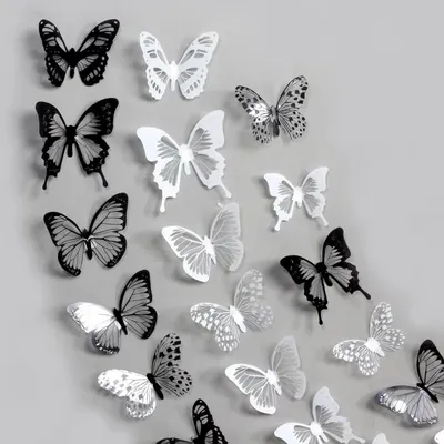 Наклейки 3Д бабочки (черно-белые), 18 шт. купить в интернет-магазине  Макуту.РУ