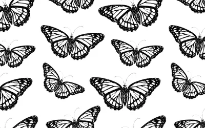 Бабочка Черно-Белое, Компьютерное программное обеспечение, Черный И Белый,  Текст, Симметрия, Линия, Круг, Мотыльки и бабочки, площадь, черный, Черное  и белое png | PNGWing