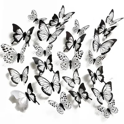 Штриховые рисунки Черно-белые бабочки, Разное, белый, кисть Footed  Butterfly png | PNGWing