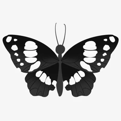 Бабочки - интерьерные наклейки черно - белые 18 штук. 3D бабочки на стену  для декора. (ID#967788332), цена: 70 ₴, купить на Prom.ua