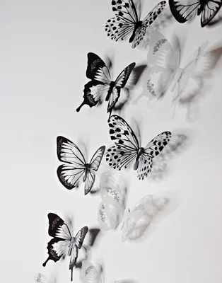 черно-белые фотообои с крыльями бабочки для подростковых спален -  TenStickers