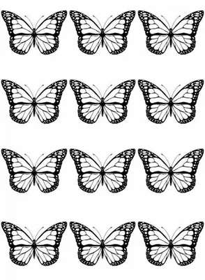 Купить Наклейки бабочки для взрослых любителей раскраски, черно-белые  наклейки-планировщики, набор из 2 листов | Joom