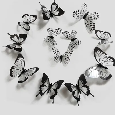 черно-белые бабочки иллюстрация вектора. иллюстрации насчитывающей монарх -  228001058