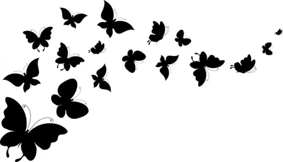 бабочка — это черно белое изображение с цветами, черно белые фотографии  бабочек фон картинки и Фото для бесплатной загрузки