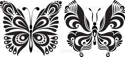 Картинка бабочка раскраска - 79 фото