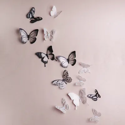 Красивый узор бабочки. Черно-белые цвета . Векторное изображение  ©AlionaManakova 103131784