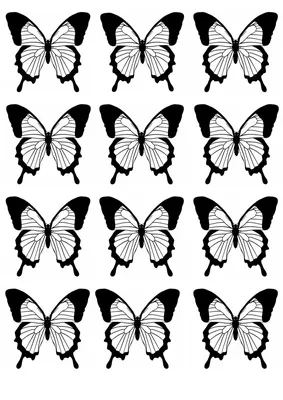 черно-белые летающие бабочки. изолирован на белом фоне. векторная  иллюстрация. Иллюстрация вектора - иллюстрации насчитывающей декоративно,  монохромный: 218390176