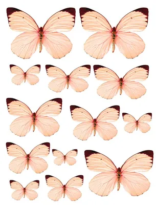Бабочки картинки для торта - 83 фото