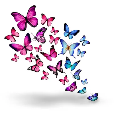бабочки | Бумажные бабочки, Трафаретные надписи, Бесплатные трафареты