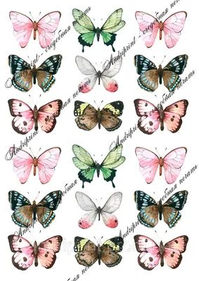 Съедобная картинка №418. Бабочки Ультрафиолет | sweetmarketufa.ru