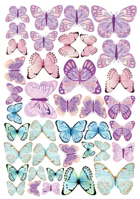 Вафельная картинка Бабочки 17 купить