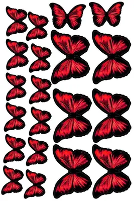 Настоящие образцы бабочек в рамке, домашний декор, Подарочная коллекция,  деревянная витрина для теней | AliExpress