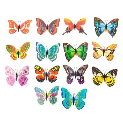 Салют из 51 бабочки (25 до 15 см. + 26 до 10 см.) - Продажа живых бабочек в  Москве и Московской области