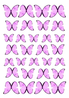 Бабочки Европы - трехчастные карточки Монтессори купить и скачать