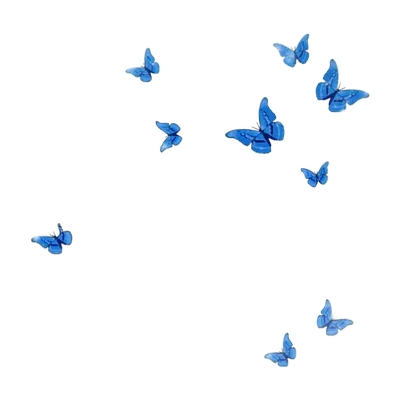 Картинки бабочки на белом фоне (89 фото) » ФОНОВАЯ ГАЛЕРЕЯ КАТЕРИНЫ АСКВИТ