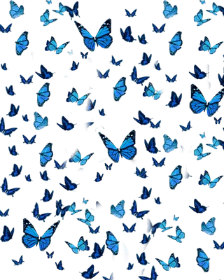 акварельные разноцветные бабочки на белом фоне. голубой розовый и красный  рисунок. Иллюстрация штока - иллюстрации насчитывающей живо, празднично:  214085552