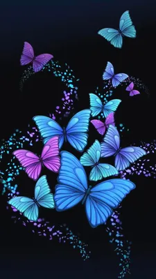 Синяя бабочка на черном фоне - фото и картинки: 62 штук
