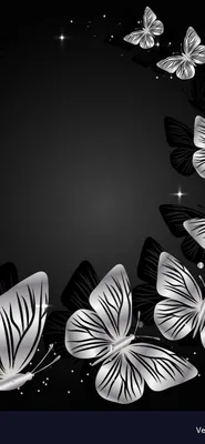 Цветы и бабочки на черном фоне (1920x1200) - Обои - Графика