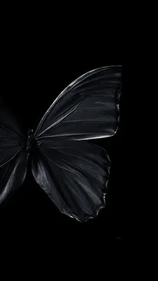 Голубые и синие бабочки на чёрном…» — создано в Шедевруме