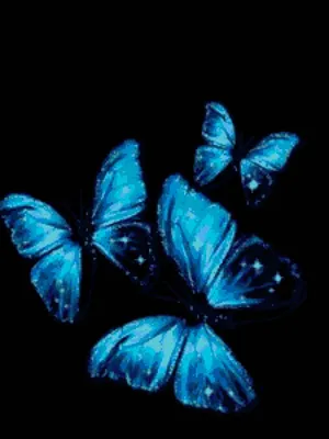 Обои бабочки на черном фоне - 60 фото