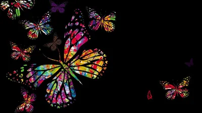 Бабочки на черном фоне картинки - 82 фото