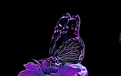 абстрактные красочные бабочки на черном фоне. генеративный вспомогательный  помощник Иллюстрация штока - иллюстрации насчитывающей бабочка, бобра:  274431509