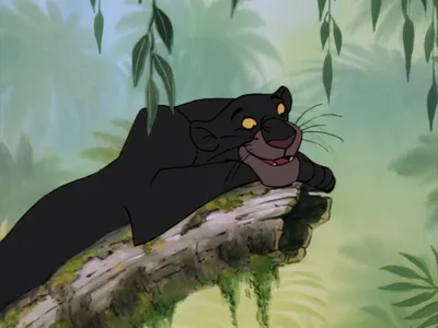 Багира из мультфильма про Маугли - это самец или самка? \"Дисней\" VS  \"Союзмультфильм\" | Не дай себя обмануть | Дзен