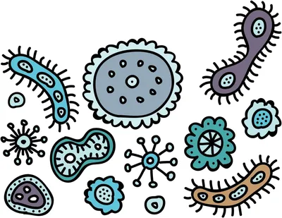 Haber7 (Турция): турецкие ученые открыли 60 новых видов бактерий в шести  странах (Haber7, Турция) | 07.10.2022, ИноСМИ
