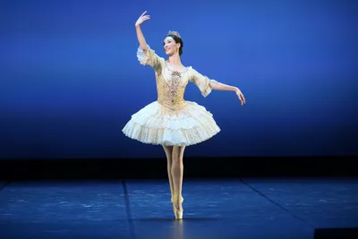 Благодарна судьбе за возможность танцевать в Севастополе, — балерина Ксения  Рыжкова | ForPost