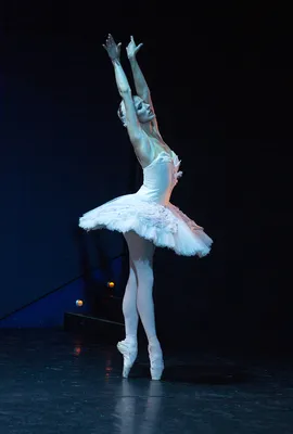 BalletGala / Гала-Балет | Московский Государственный Академический Детский  Музыкальный Театр имени Наталии Ильиничны Сац