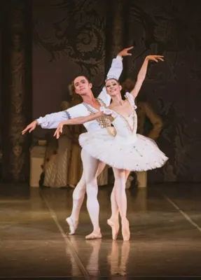 Билеты в театр в Москве: балет – Афиша-Театры