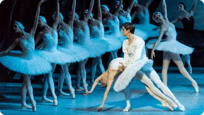 Балет - это не для слабаков... | Фотографии танцев, Танец балет, Балет