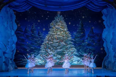 Детский новогодний балет «Щелкунчик» | Балет | Мероприятия Москонцерта |  ГБУК г. Москвы «Москонцерт»