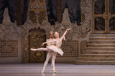 Щелкунчик – Самарский театр оперы и балета