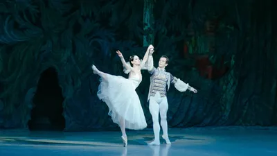 Классический Национальный Русский балет. Балет \"Щелкунчик\" в Хабаровске 17  декабря 2023 в Городской Дворец Культуры