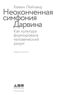 Позиции ног и рук в классическом танце — основы классической хореографии