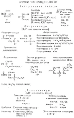 Детские книги о балете, которые стоит прочитать | БОЛЬШОЙ БАЛЕТ студия  хореографии | Дзен