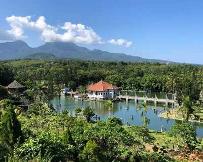 Подробности об отдыхе на острове Бали. Что посмотреть и чем заняться |  ЕВРОИНС