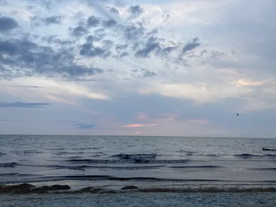 пляж и бирюзовое балтийское море. вид с воздуха на туристическую польшу  Стоковое Изображение - изображение насчитывающей праздник, взгляд: 220059625