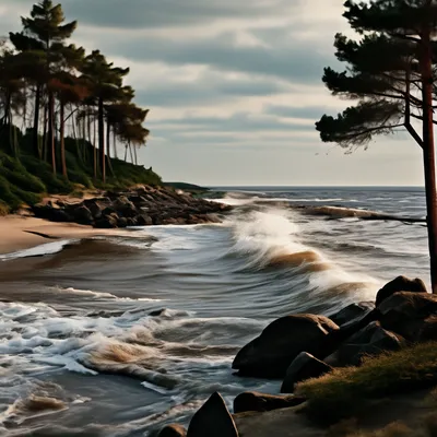 Восход Солнца Море Балтийское - Бесплатное фото на Pixabay - Pixabay