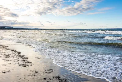 Балтийское Море Пляж Песок Доступ - Бесплатное фото на Pixabay - Pixabay