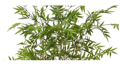 Растение искусственное Бамбук в горшке высота 83 см купить недорого в  интернет-магазине товаров для декора Бауцентр