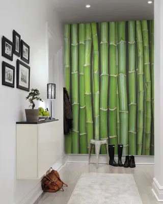 Купить Искусственное растение, дерево бамбук, декоративный цветок напольный  высокий для декора интерьера в белом кашпо 160 см по выгодной цене в  интернет-магазине OZON.ru (725307510)