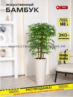 Бамбук в интерьере - K-Decor