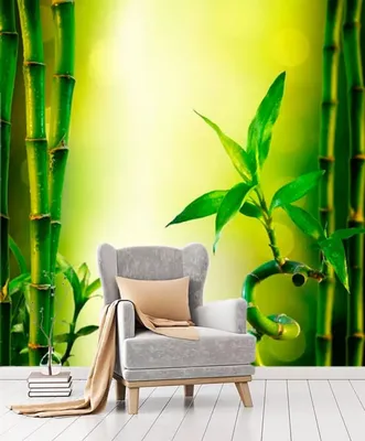 Искусственный бамбук в интерьере (69 фото) » НА ДАЧЕ ФОТО