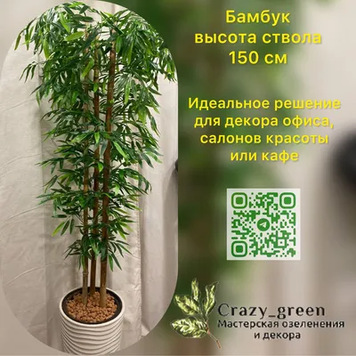 Фото обои 3Д под камень в интерьере 368x254 см СПА Бамбук (11407P8)+клей  (ID#1543439074), цена: 1400 ₴, купить на Prom.ua