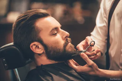 Как часто нужно ходить в барбершоп на стрижку бороды - Barber.su