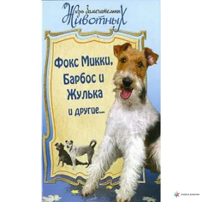 Барбос и Жулька, , Александр Куприн – скачать книгу бесплатно fb2, epub,  pdf на ЛитРес