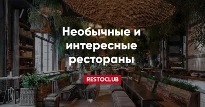 Контакт Бар